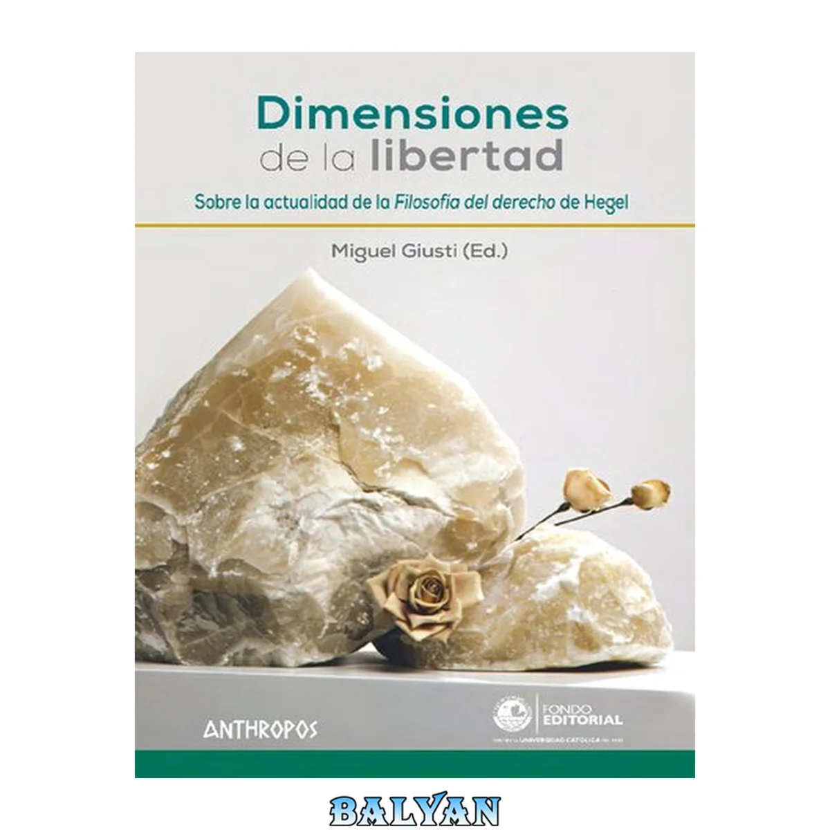 جلد کتاب Dimensiones de la libertad: Sobre la actualidad de la "Filosofía del derecho" de Hegel (Autores, Textos y Temas. Filosofía) (Spanish Edition)