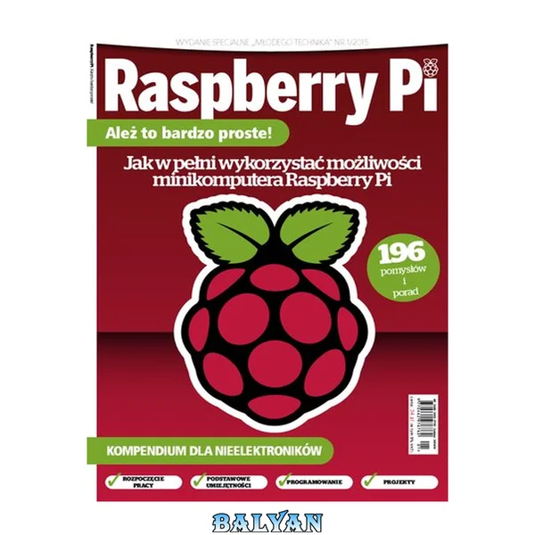 Raspberry Pi