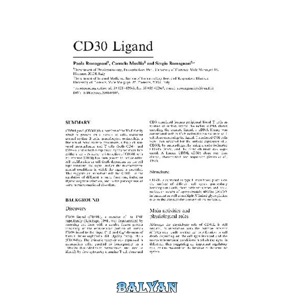 CD30 Ligand