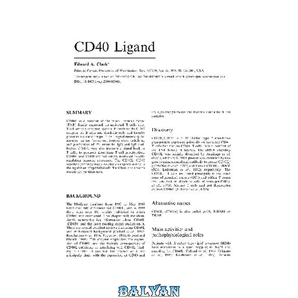 CD40 Ligand