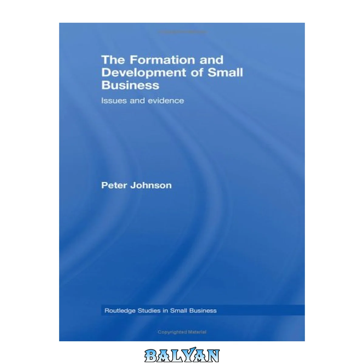 جلد کتاب The Formation and Development of Small Business: Issues and Evidence (Routledge Studies in Small Business)
