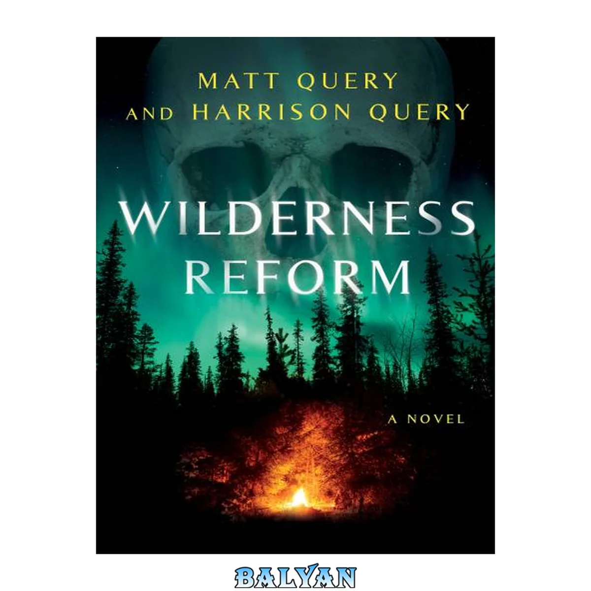 جلد کتاب Wilderness Reform : A Novel