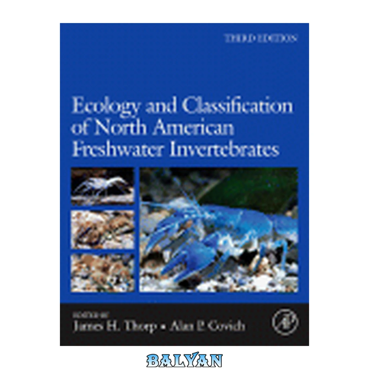 جلد کتاب Ecology and Classification of North American Freshwater Invertebrates (Aquatic Ecology (Academic Press))