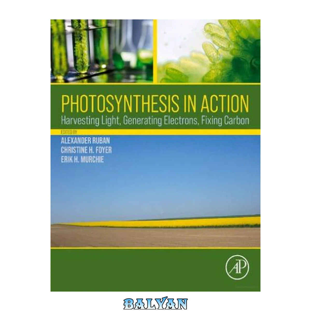 جلد کتاب Photosynthesis in action : harvesting light, generating electrons, fixing carbon