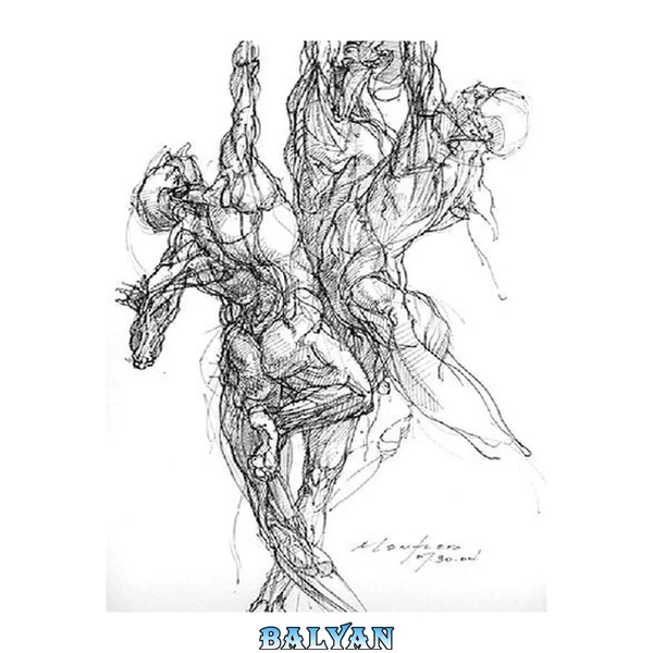 Anatomy for the Artist