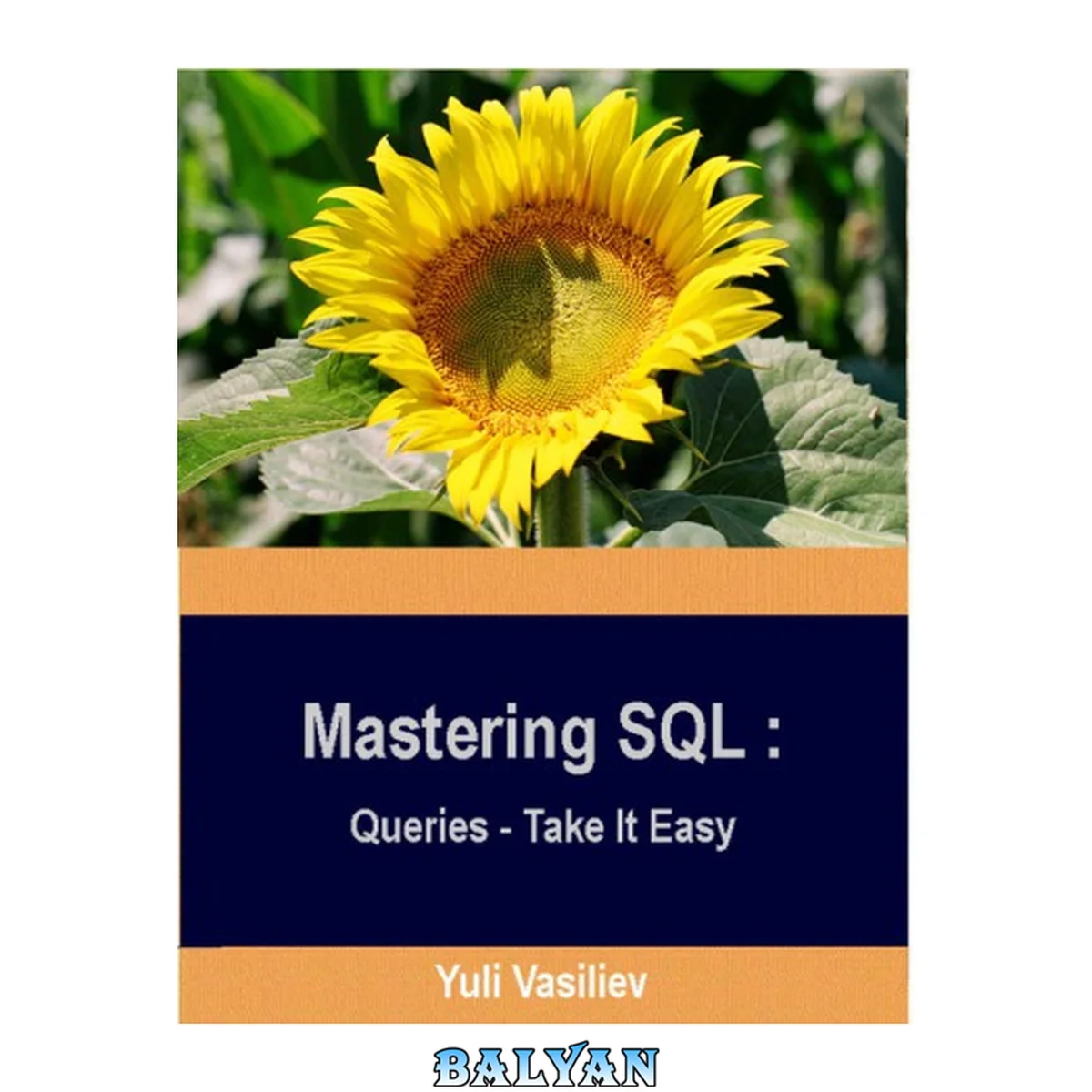 جلد کتاب Mastering SQL: Queries - Take It Easy