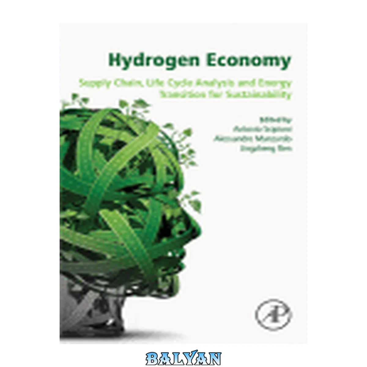 جلد کتاب Hydrogen Economy : Supply Chain, Life Cycle Analysis and Energy Transition for Sustainability