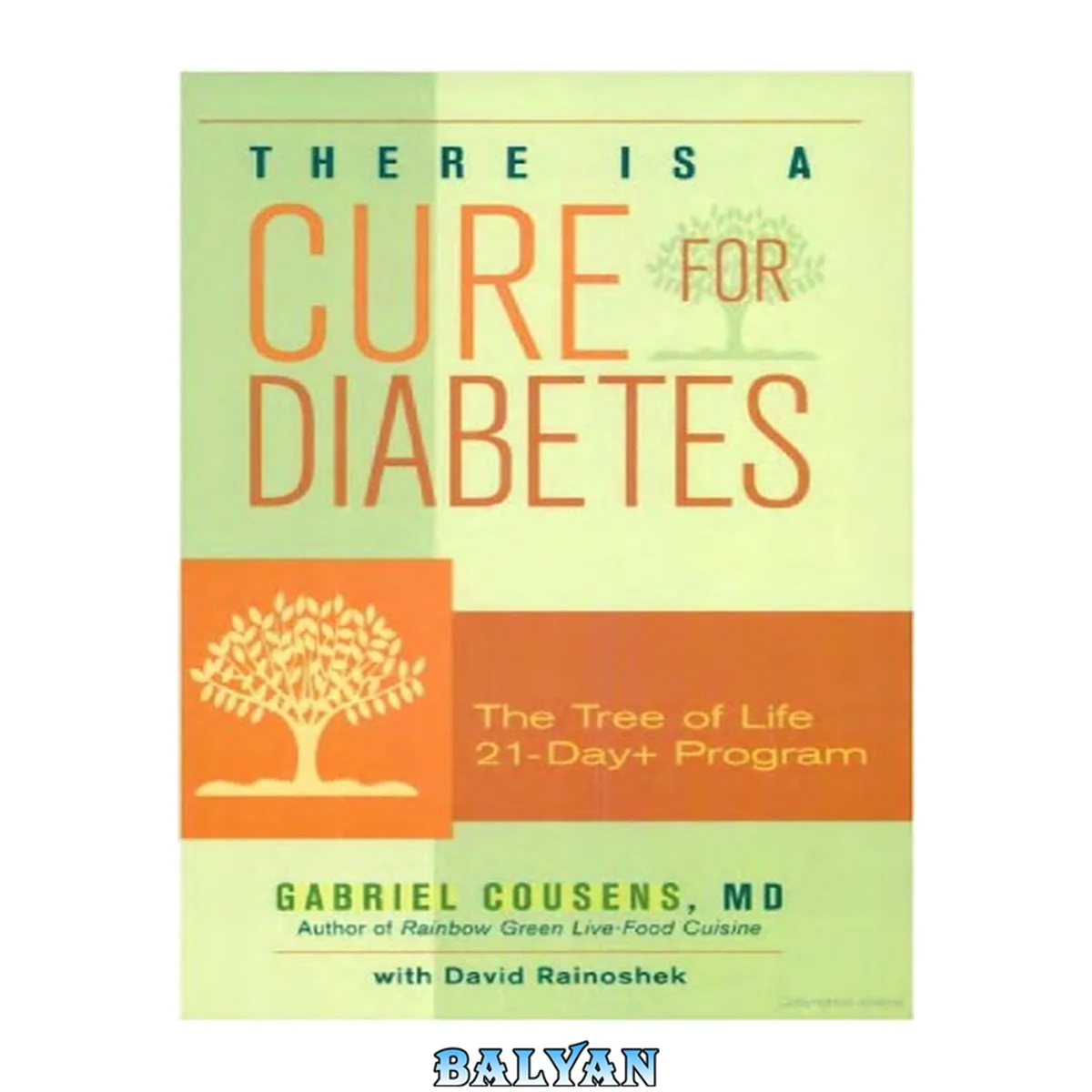 جلد کتاب There is a cure for Diabetes