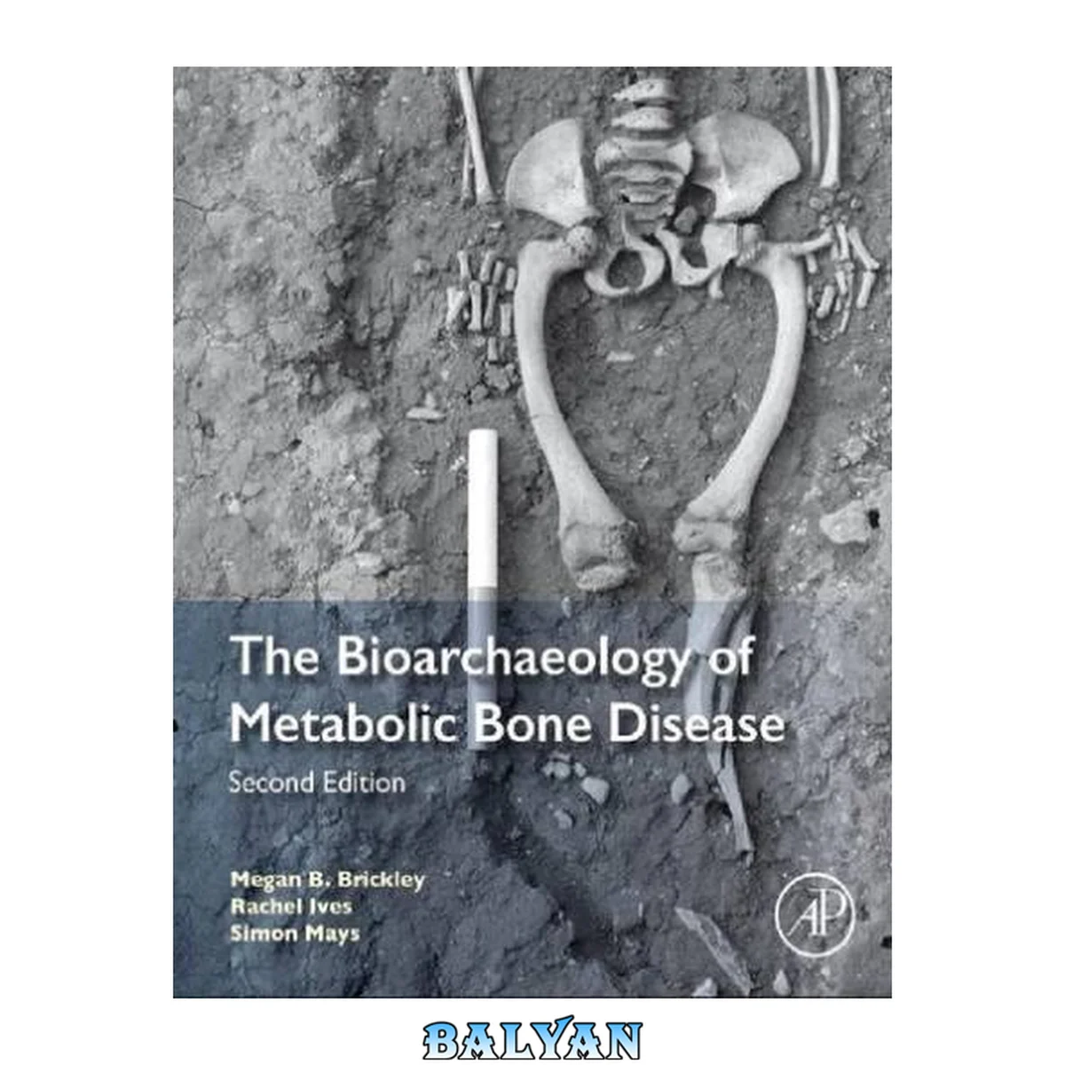 جلد کتاب The Bioarchaeology of Metabolic Bone Disease (Second Edition)