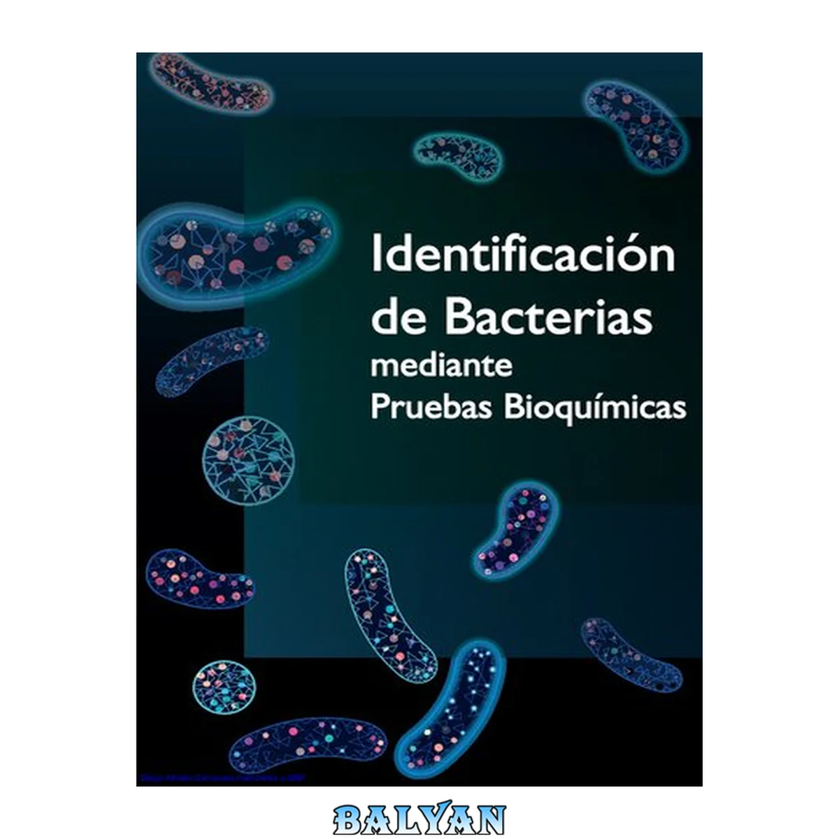 جلد کتاب Indentificación de Bacterias mediante Pruebas Bioquimicas 1