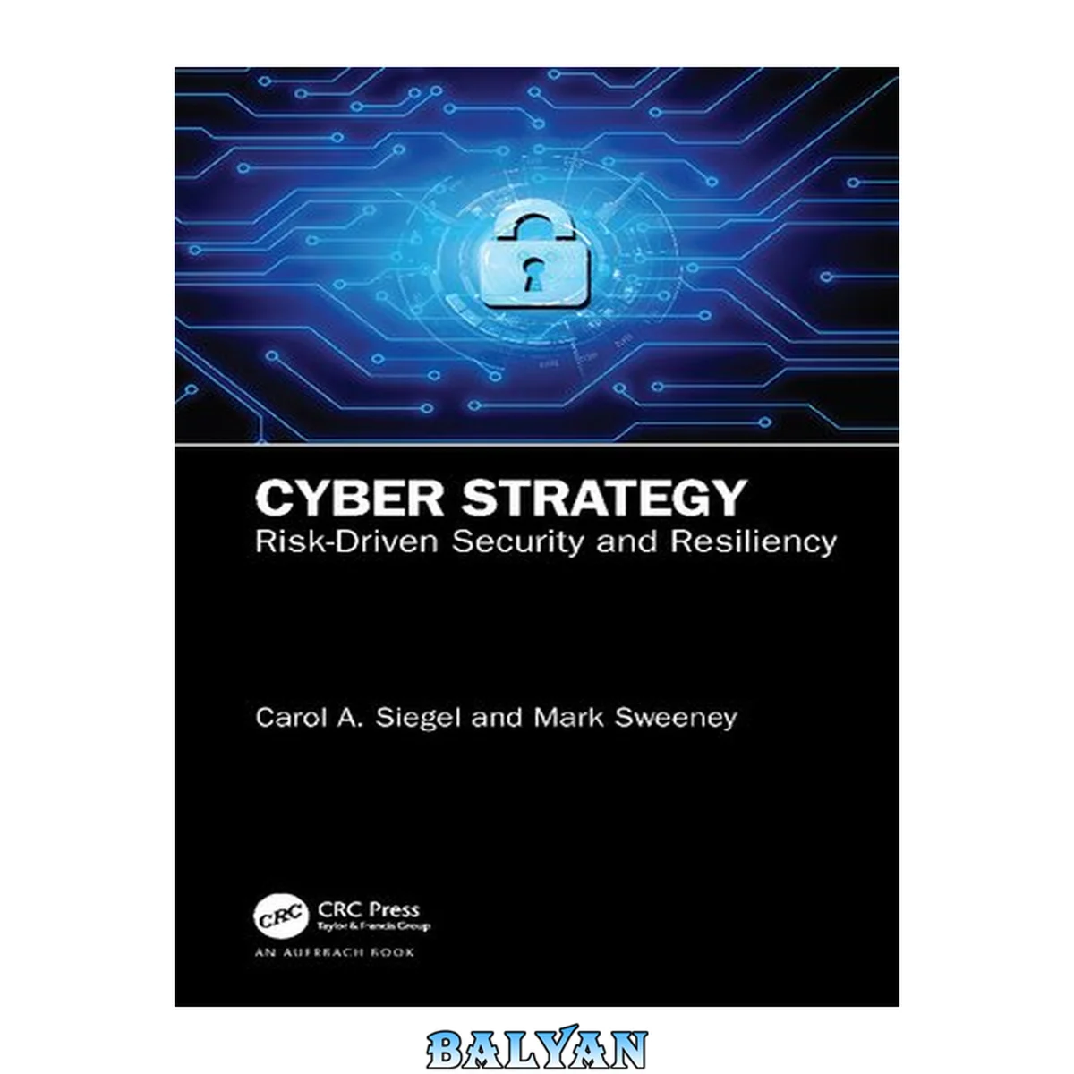 جلد کتاب Cyber Strategy : Risk-Driven Security and Resiliency