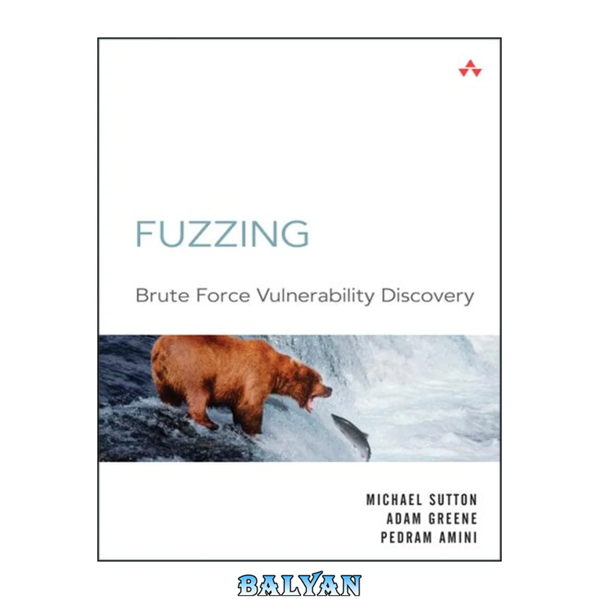 جلد کتاب فازینگ: کشف آسیب‌پذیری با نیروی brute force