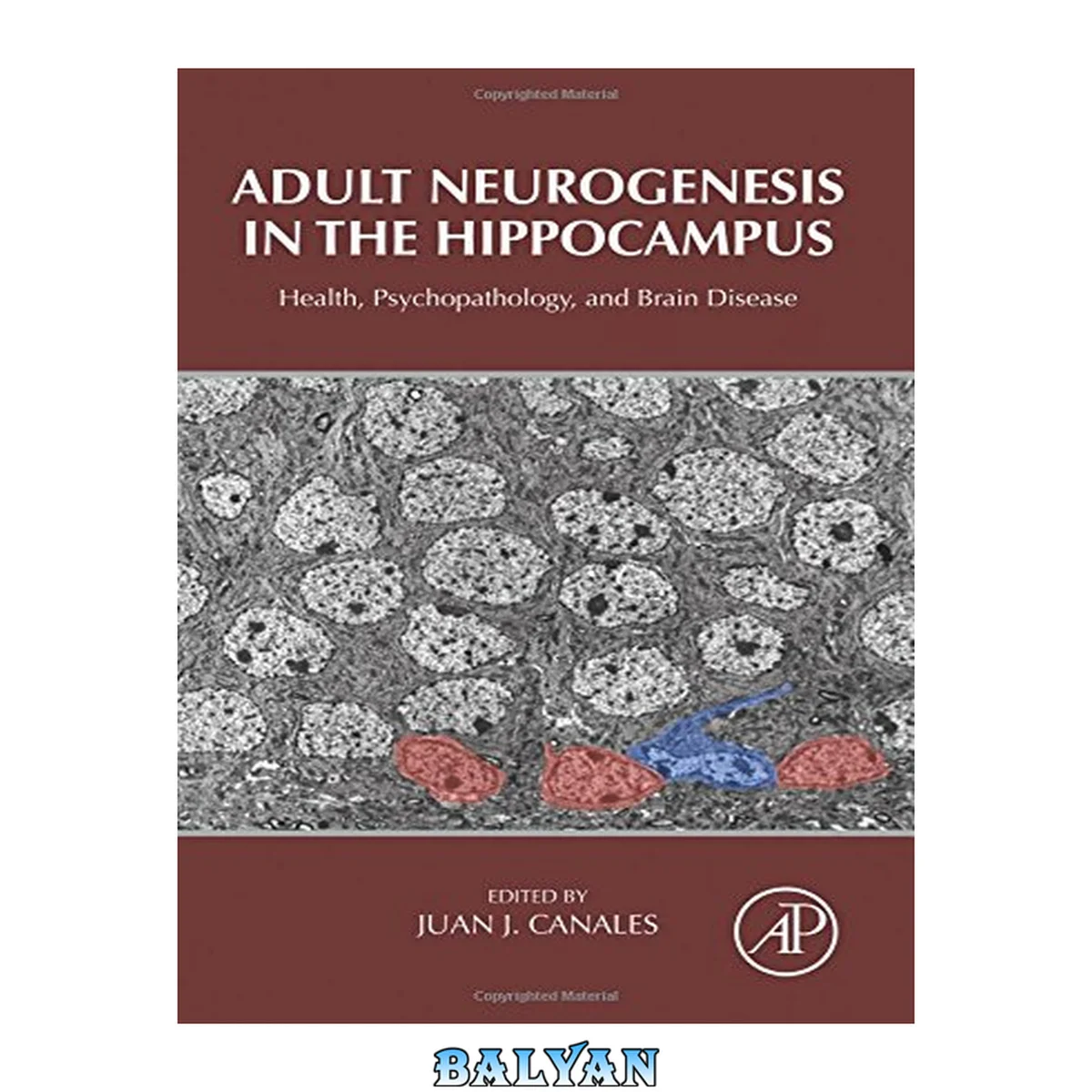 جلد کتاب Adult neurogenesis in the hippocampus : health, psychopathology, and brain disease