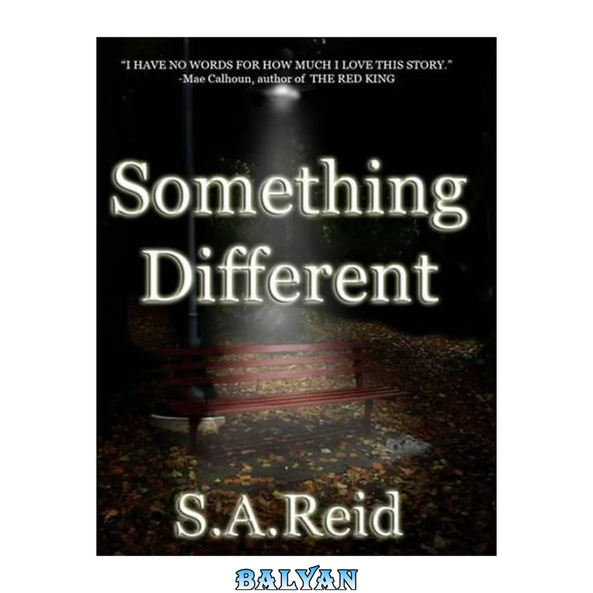 جلد کتاب Something Different