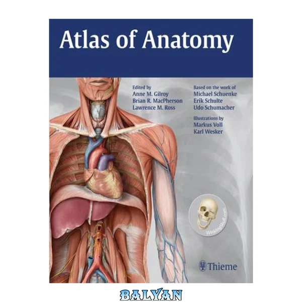 Atlas of anatomy (Thieme Anatomy)