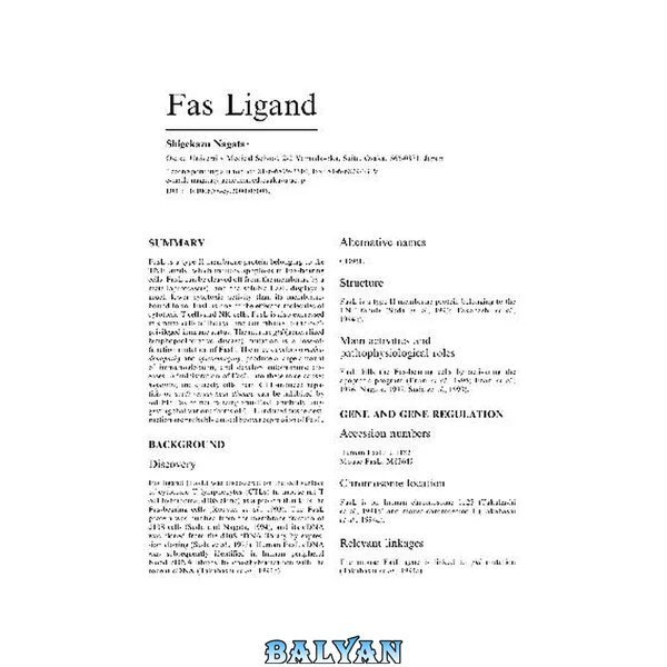Fas Ligand