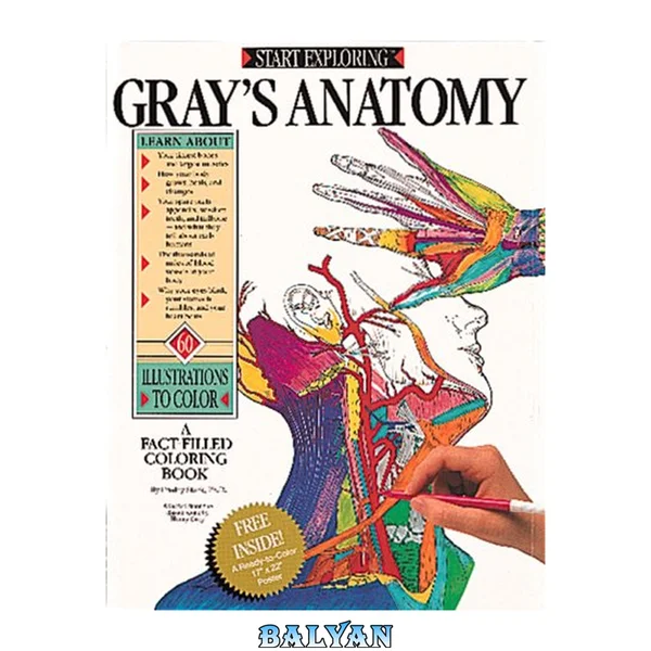 Start Exploring Gray's Anatomy: A Fact-Filled Coloring Book (Start Exploring)