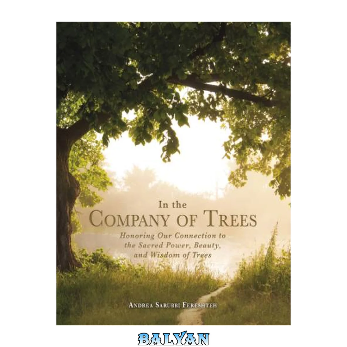 جلد کتاب In the Company of Trees : Honoring Our Connection to the Sacred Power, Beauty, and Wisdom of Trees