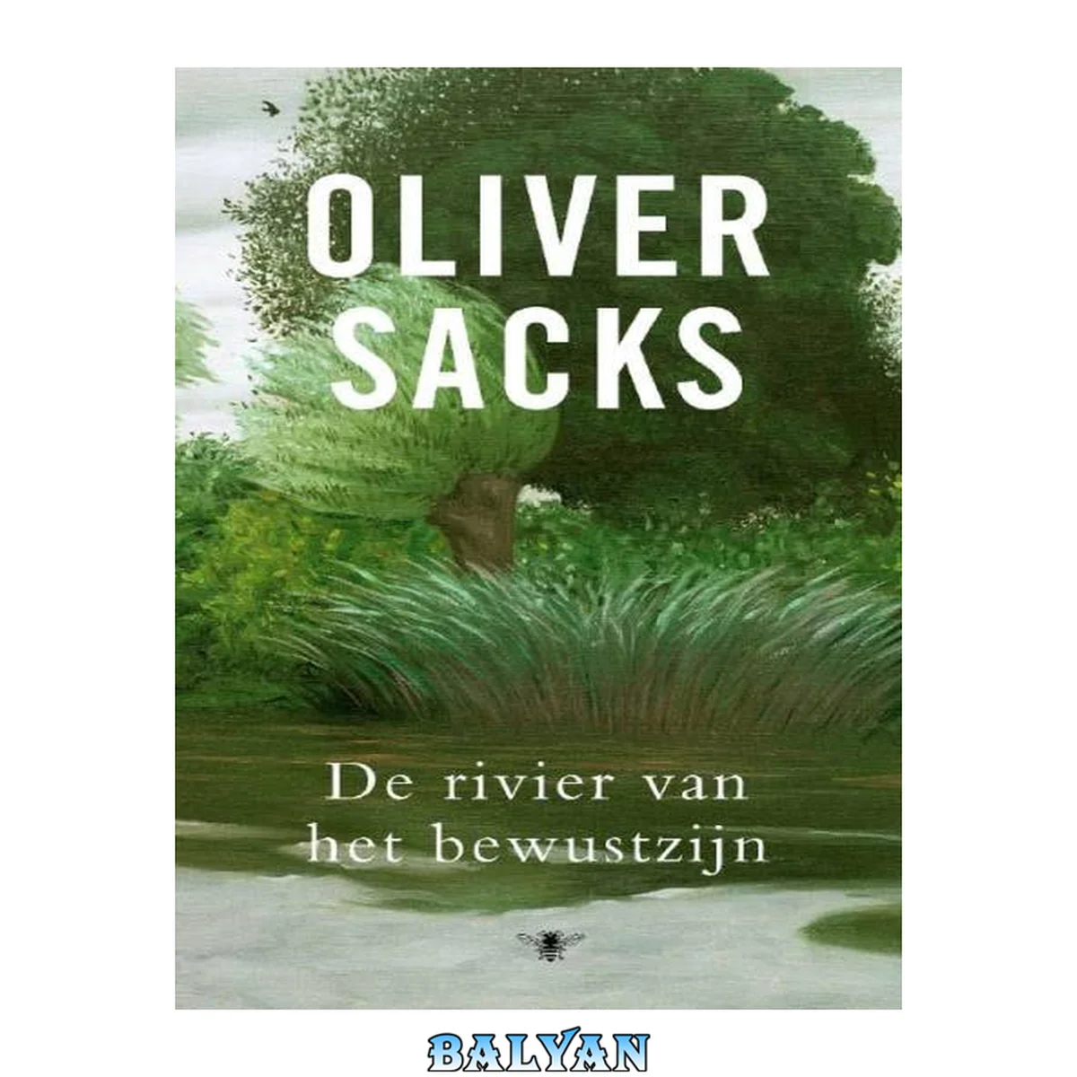 جلد کتاب De rivier van het bewustzijn