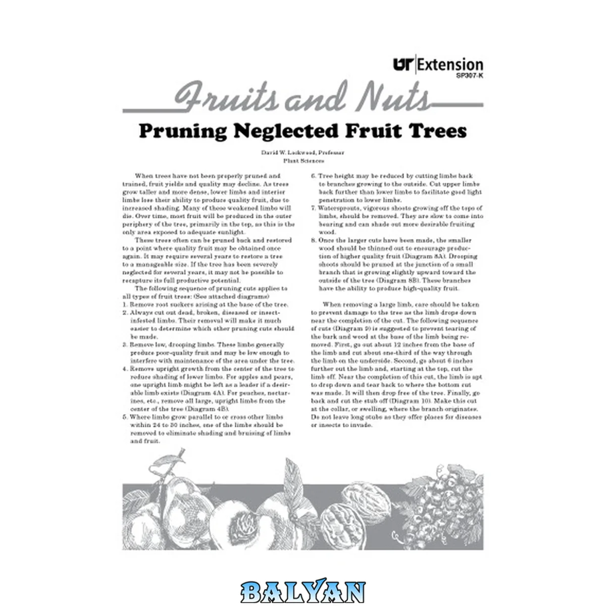 جلد کتاب Pruning fruit trees