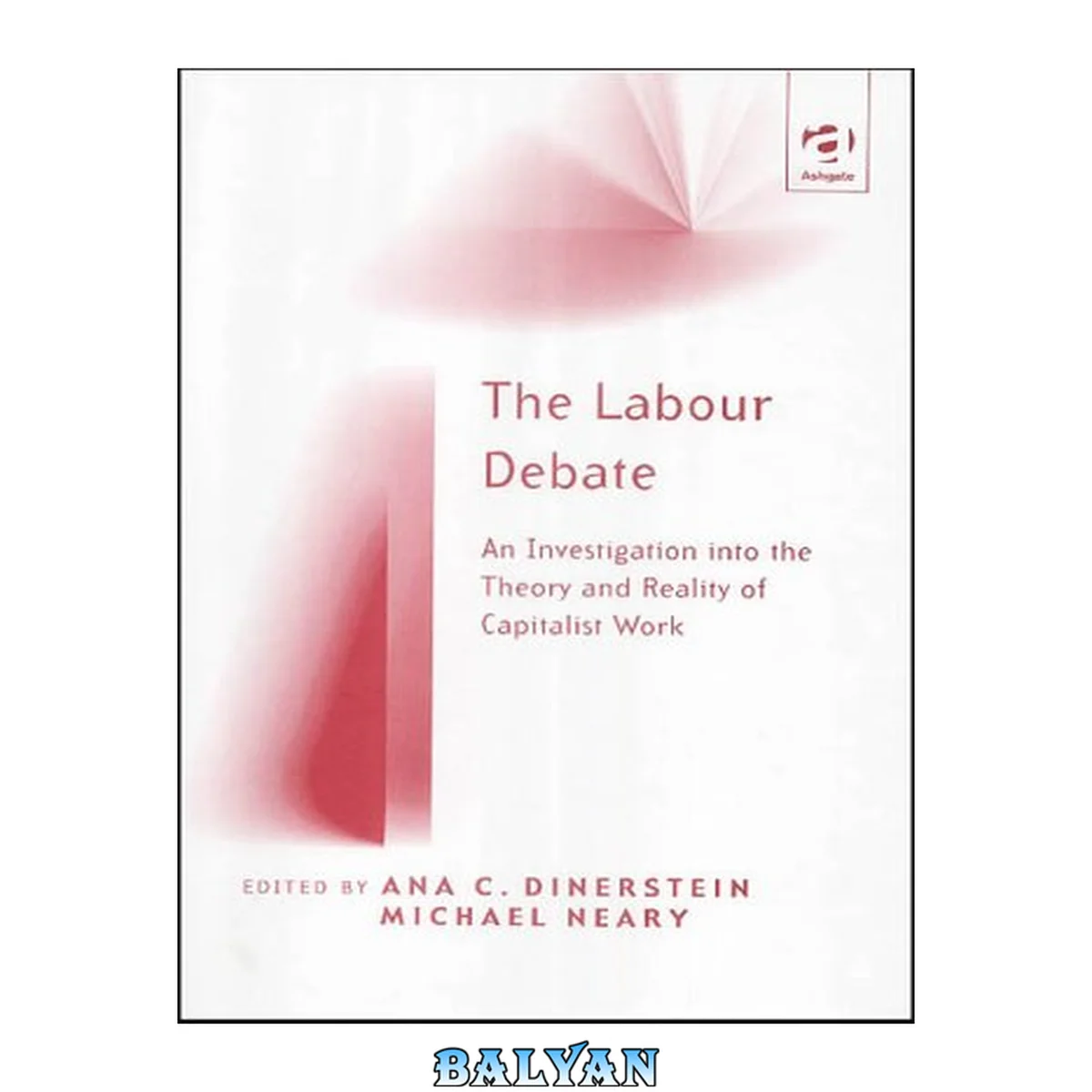 جلد کتاب The labour debate : an investigation into the theory and reality of capitalist work