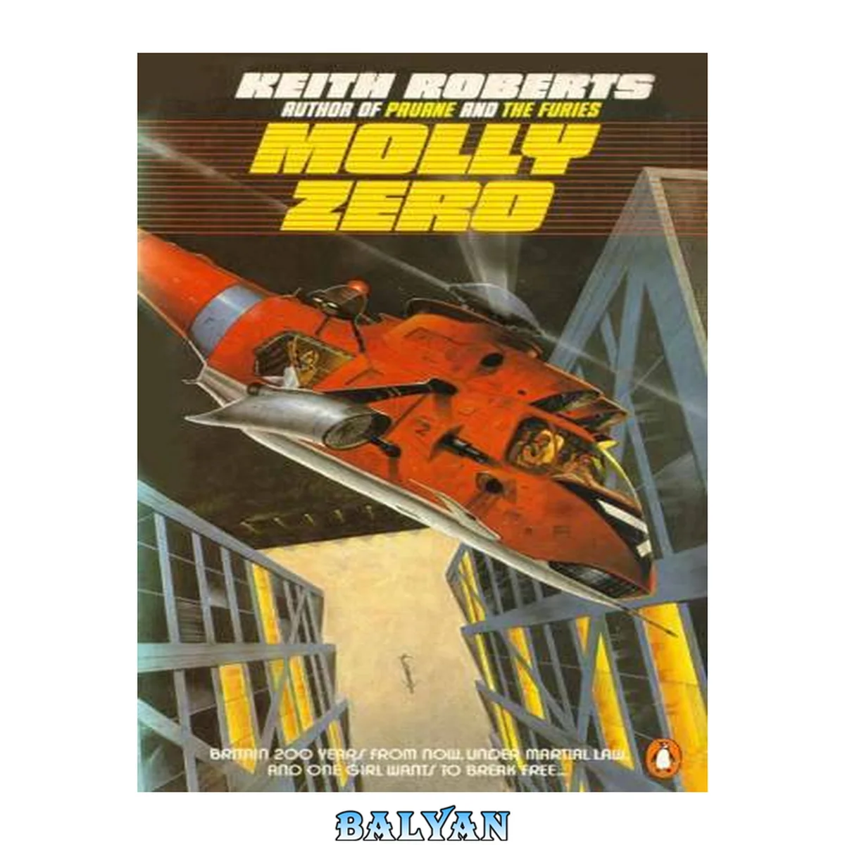 جلد کتاب Molly Zero