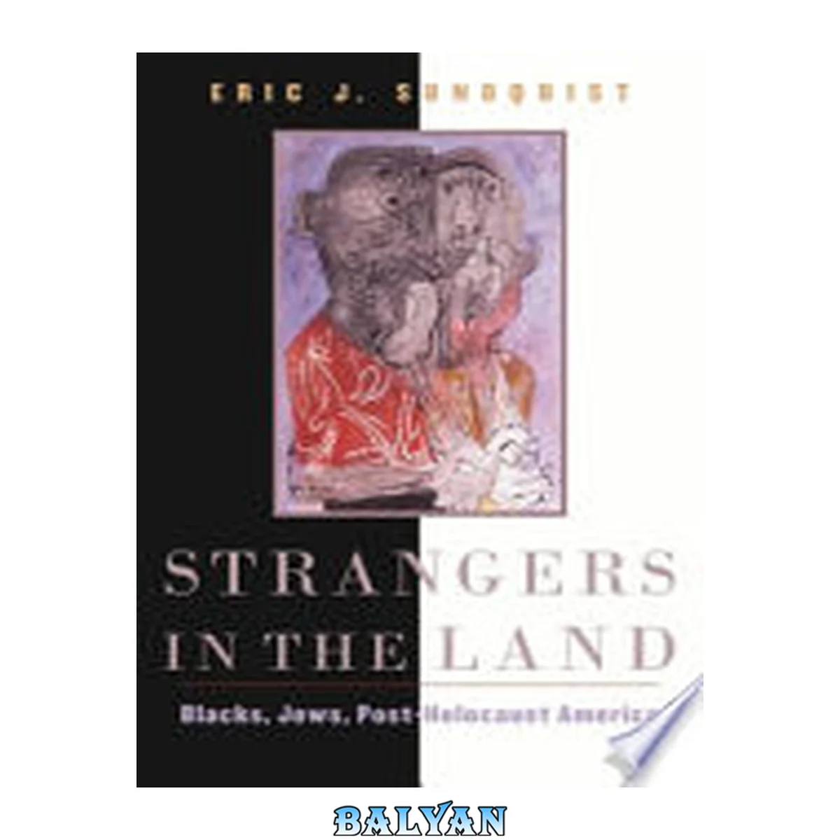 جلد کتاب Strangers in the Land: Blacks, Jews, Post-Holocaust America Blacks, Jews, Post-Holocaust America