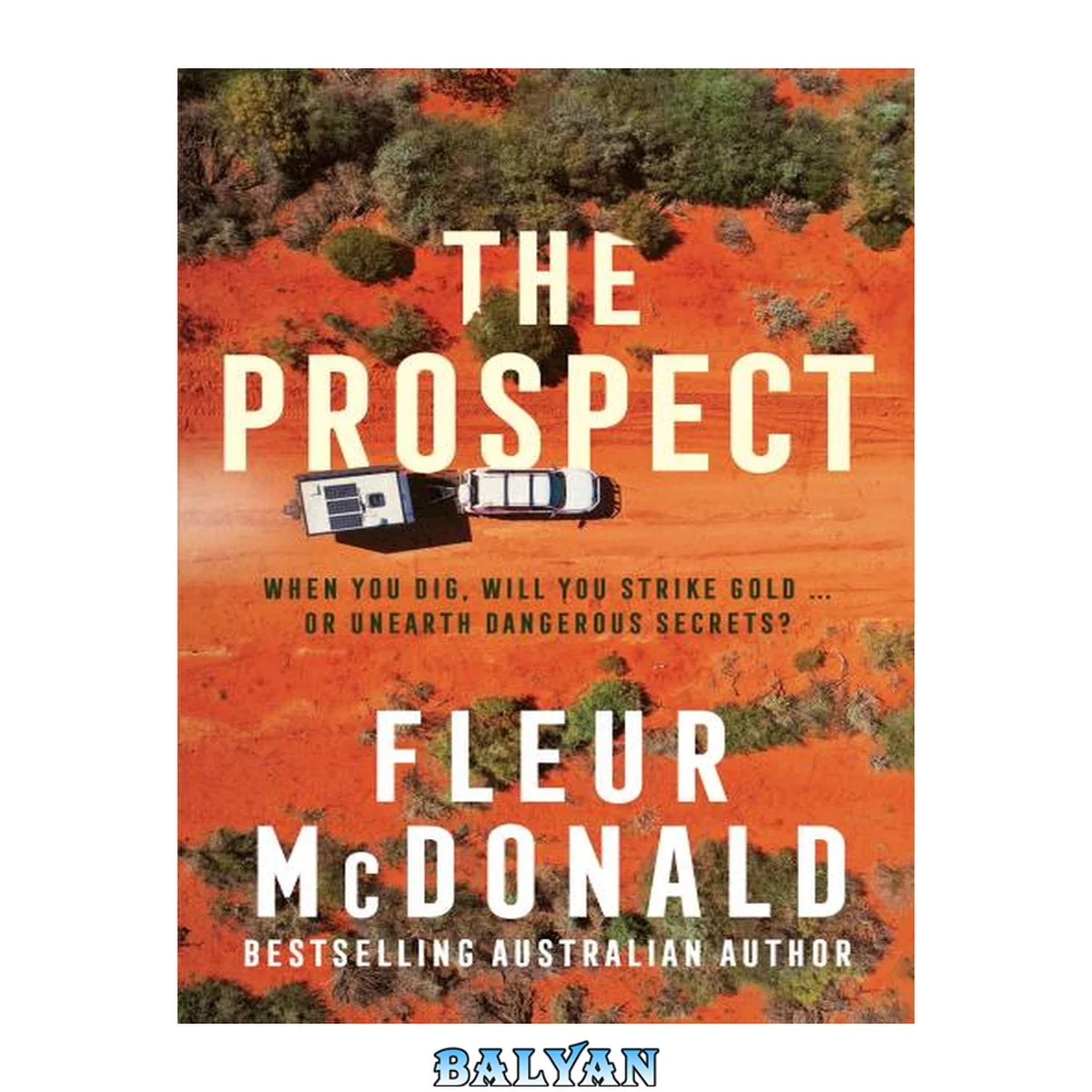 جلد کتاب The Prospect