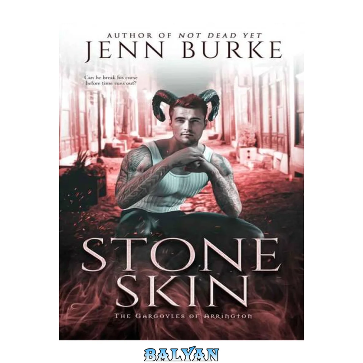 جلد کتاب Stone Skin: An M/M Paranormal Hurt/Comfort Monster Romance (The Gargoyles of Arrington Book 2)