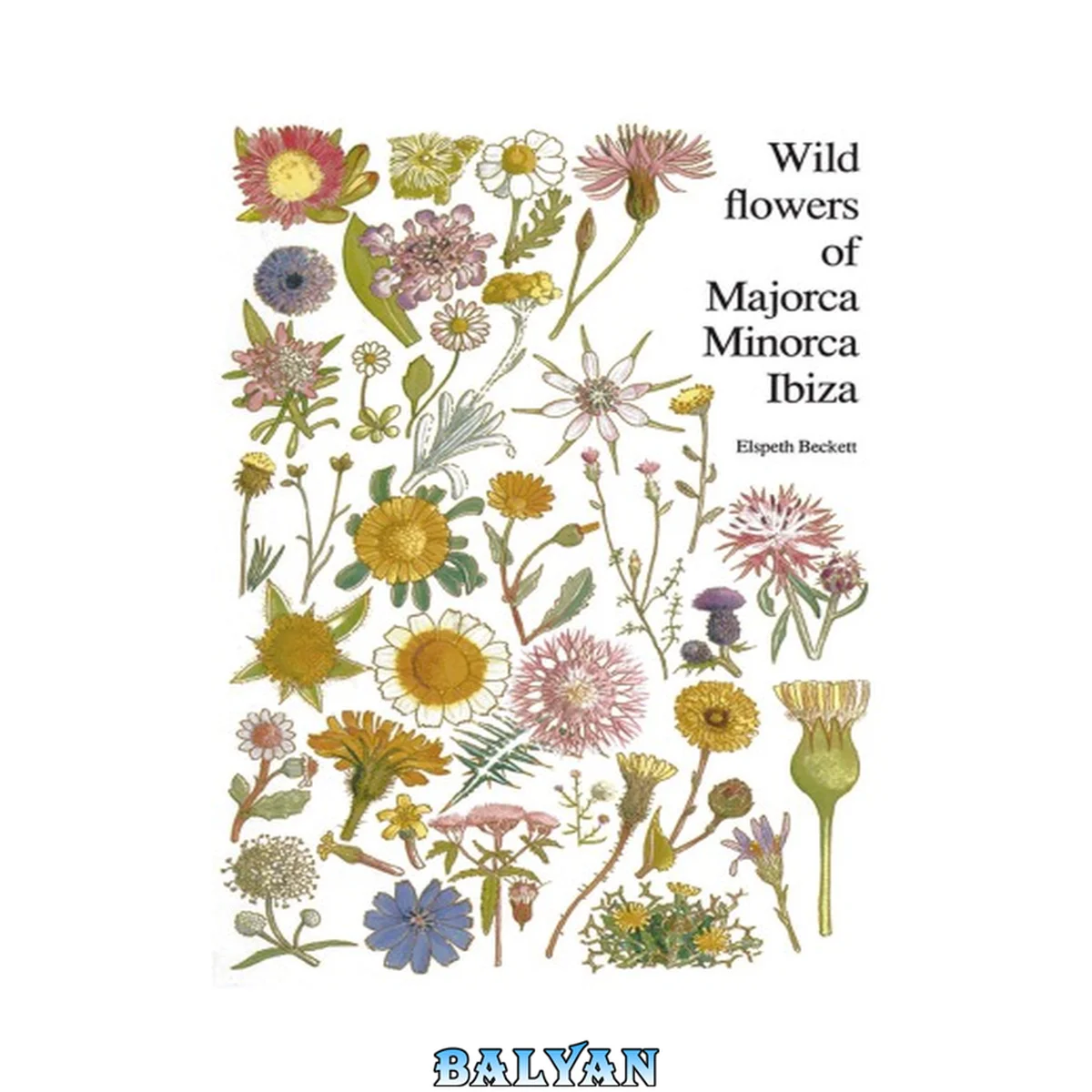 جلد کتاب Wild flowers of Majorca, Minorca and Ibiza : with keys to the flora of the Balearic Islands