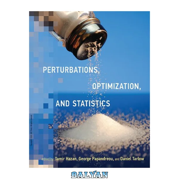 Perturbations, Optimization, and Statistics (Neural Information Processing series)