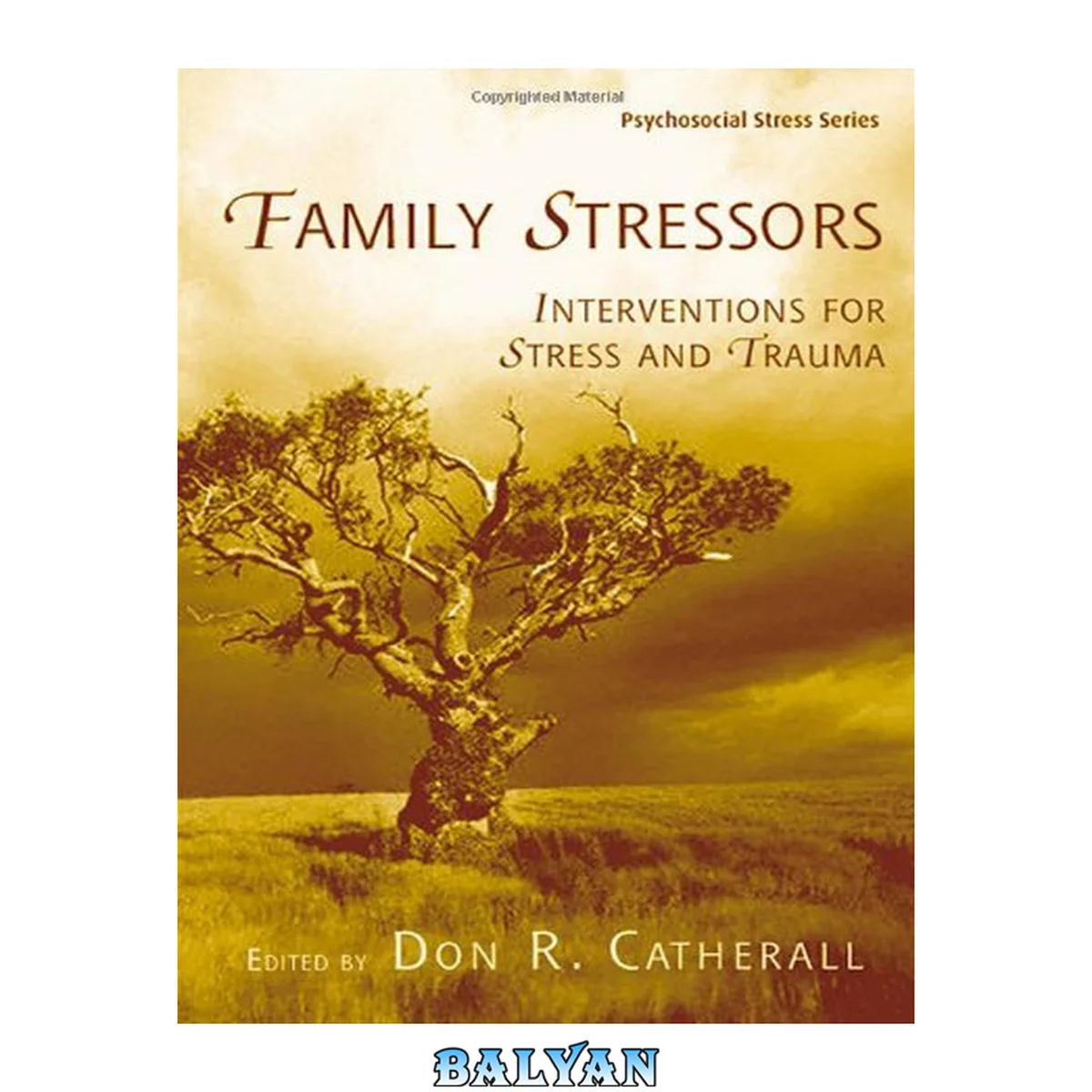 جلد کتاب Family Stressors: Interventions for Stress and Trauma (Series in Psychosocial Stress)