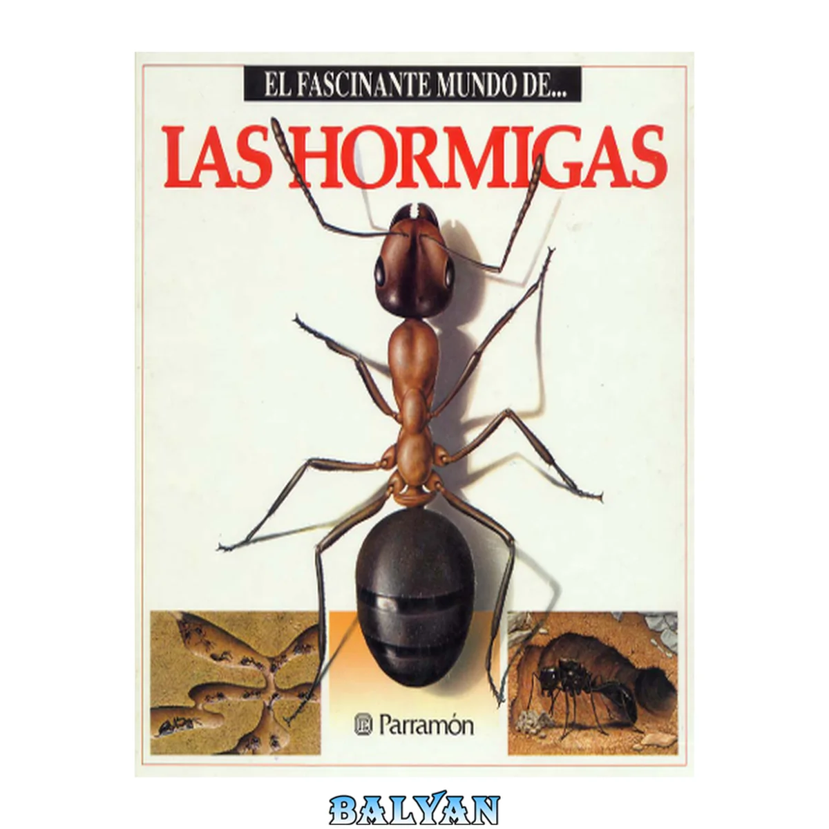 جلد کتاب El Fascinante Mundo De Las Hormigas