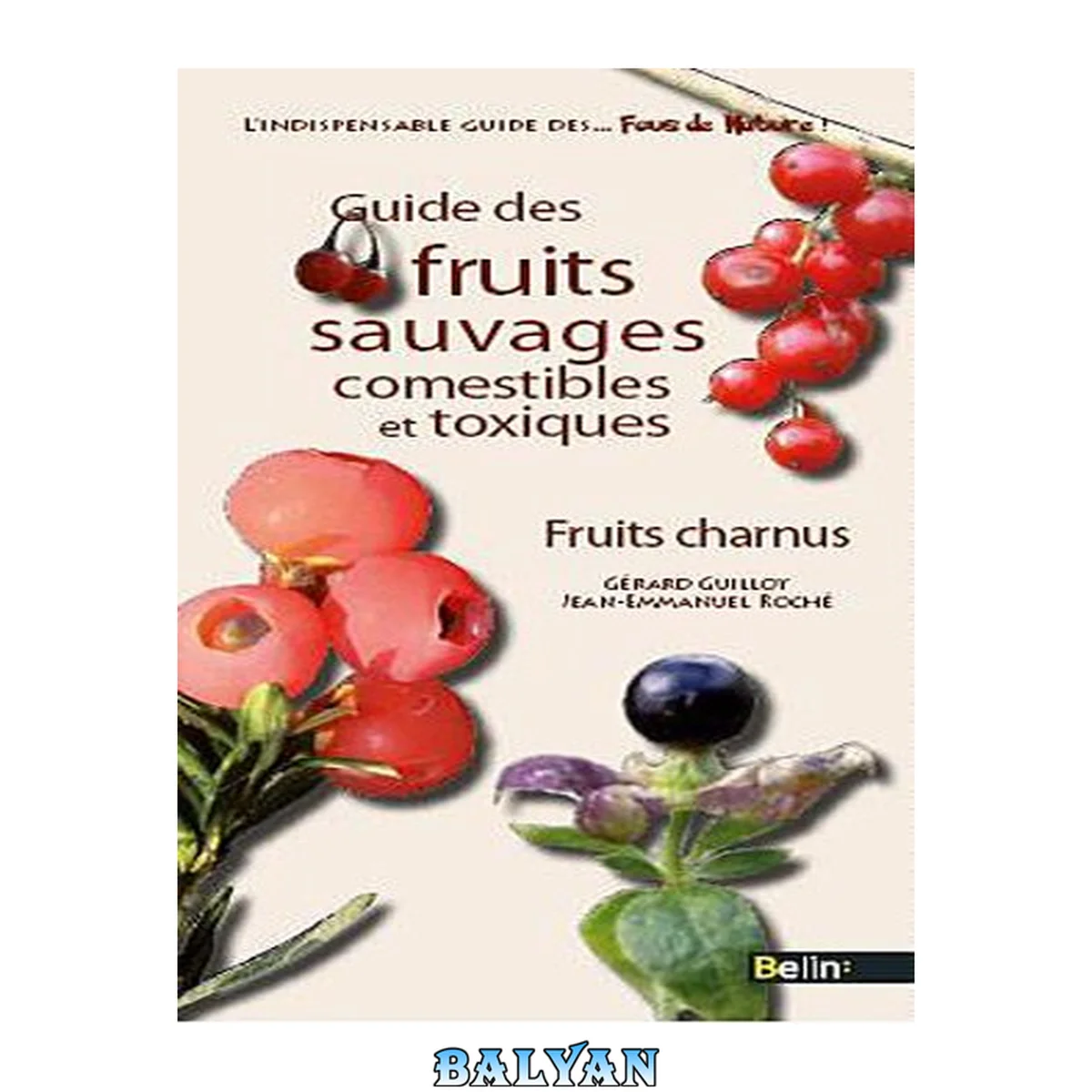جلد کتاب Guide des fruits sauvages. Fruits charnus (Les guides des fous de nature !) (French Edition)