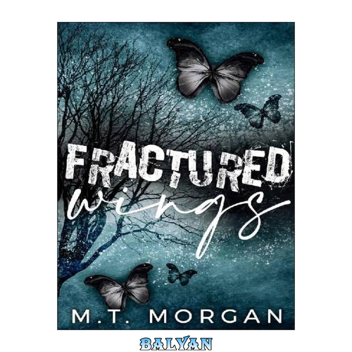 جلد کتاب Fractured Wings : A Dark Romance