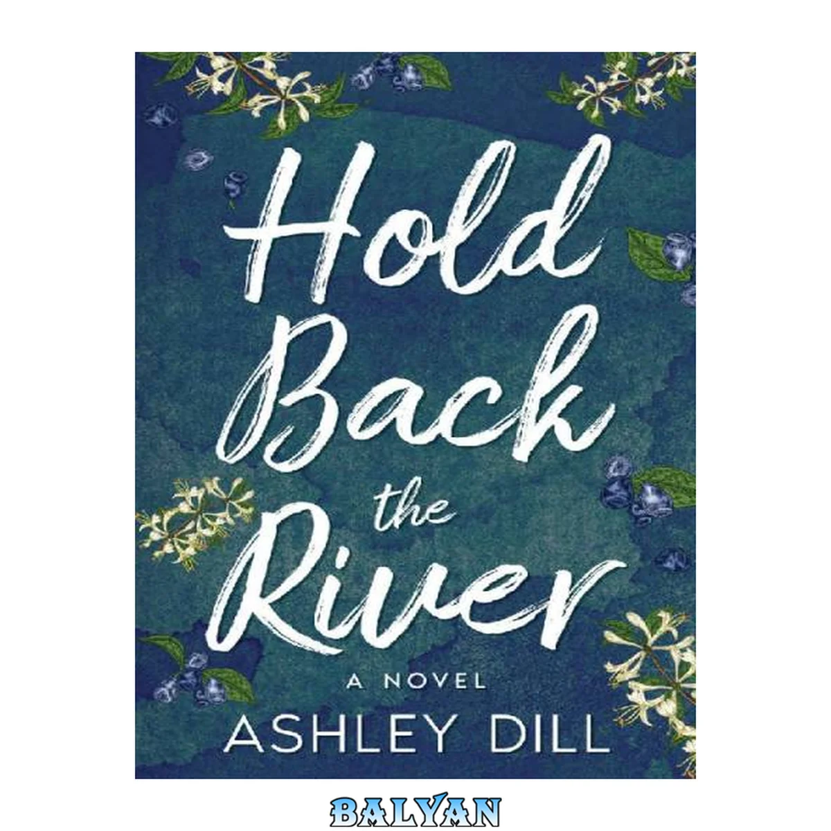 جلد کتاب Hold Back the River: A Novel