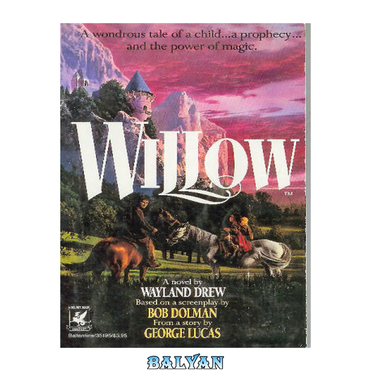 جلد کتاب Willow