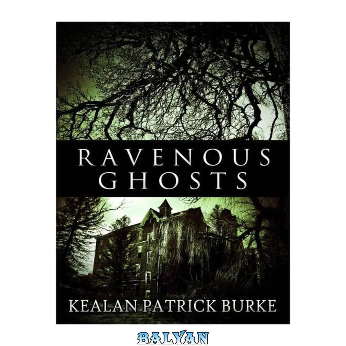 جلد کتاب Ravenous Ghosts