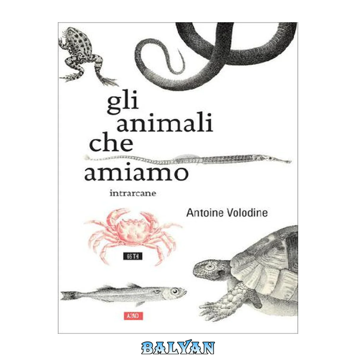 جلد کتاب Gli animali che amiamo