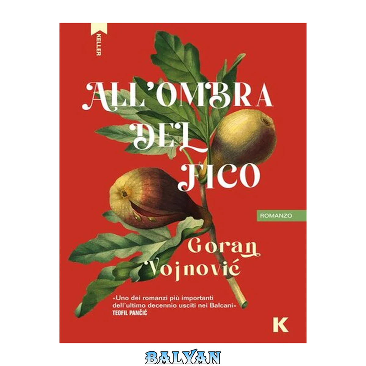 جلد کتاب All'ombra del fico