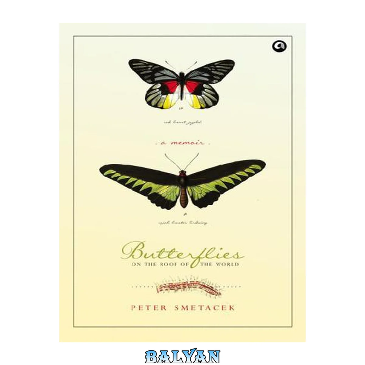 جلد کتاب Butterflies on the Roof of the World