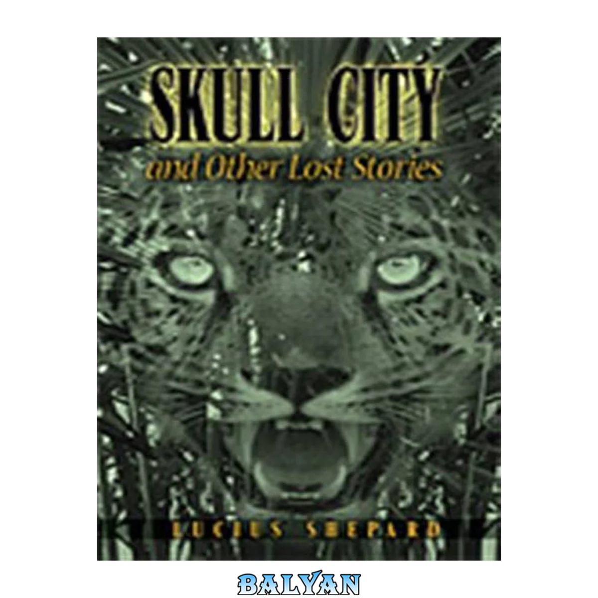 جلد کتاب Skull City and Other Lost Stories