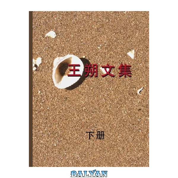 王朔文集