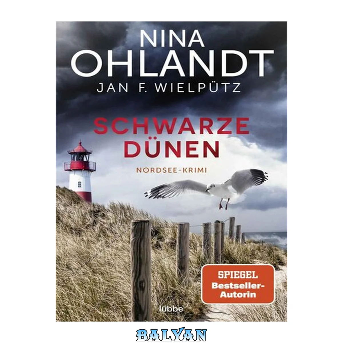 جلد کتاب 009 - Schwarze Dünen