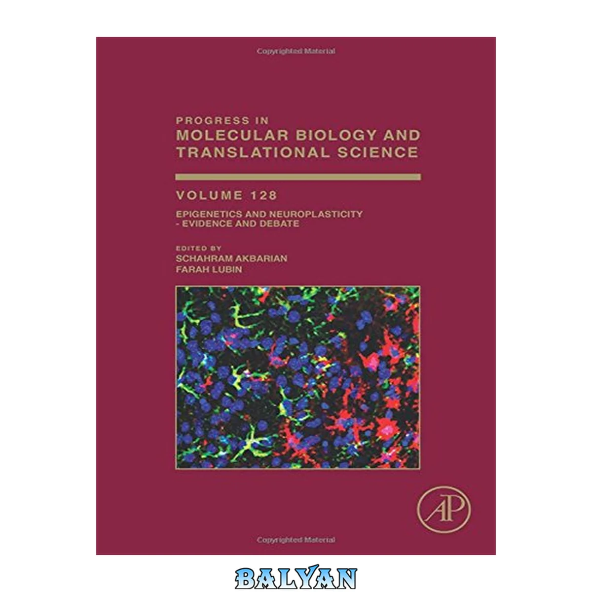 جلد کتاب Epigenetics and Neuroplasticity - Evidence and Debate (Volume 128) (Progress in Molecular Biology and Translational Science, Volume 128)