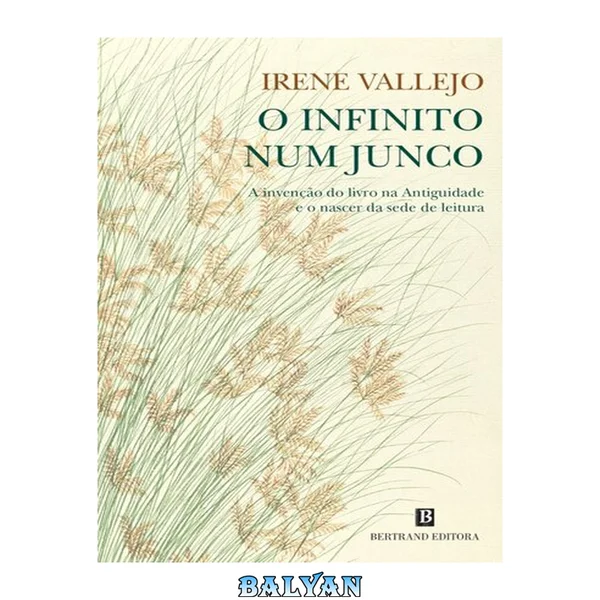 O infinito num junco