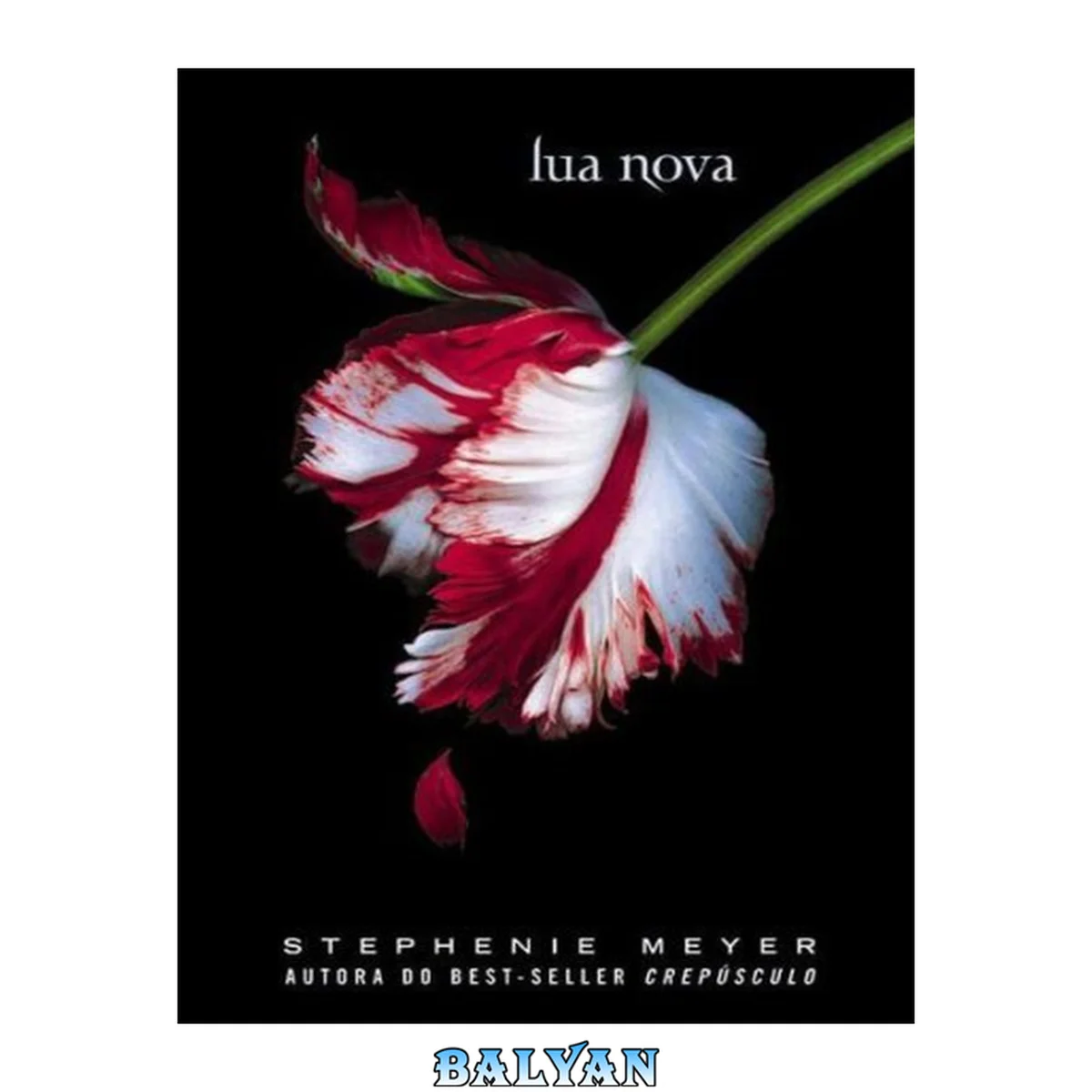 جلد کتاب Lua nova