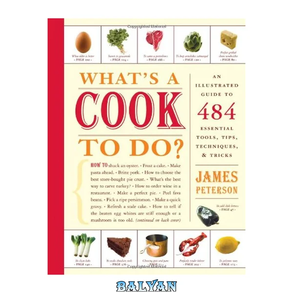 What's a Cook to Do? : An Illustrated Guide to 484 Essential Tips, Techniques, and Tricks