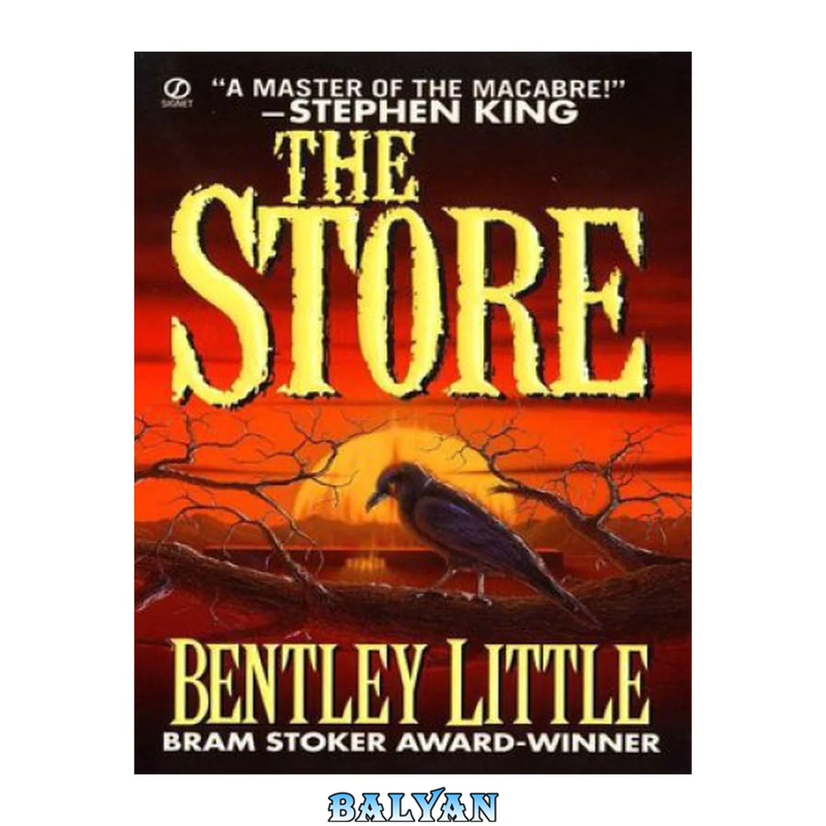 جلد کتاب The Store