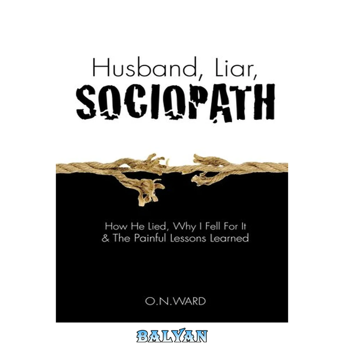 جلد کتاب Husband, Liar, Sociopath: How He Lied, Why I Fell For It &amp; The Painful Lessons Learned
